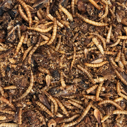 00-produktbild--2-.png 00-produktbild--2-.png