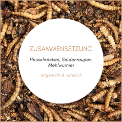 02-zusammensetzung.png 02-zusammensetzung.png