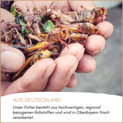 03-herkunft.png 03-herkunft.png