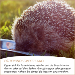 04-emotionales-bild-mit-qualitaet.png 04-emotionales-bild-mit-qualitaet.png