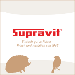 absender-wildtier-igel-vogel.png absender-wildtier-igel-vogel.png