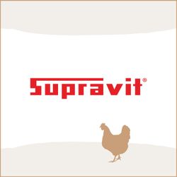 514p-u1hY6L.jpg 514p-u1hY6L.jpg