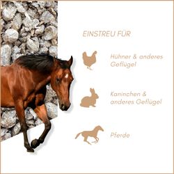 71mtXYl7HeL.jpg 71mtXYl7HeL.jpg