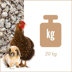 71Z20r-VLCL.jpg 71Z20r-VLCL.jpg