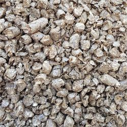 81FYPW3e-sL.jpg 81FYPW3e-sL.jpg