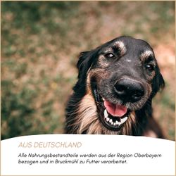 71Gr5ELlQXL.jpg 71Gr5ELlQXL.jpg