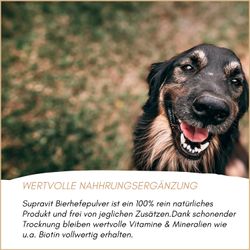 71V-QQb-SyL.jpg 71V-QQb-SyL.jpg