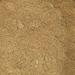 81eF98UXrbL.jpg 81eF98UXrbL.jpg