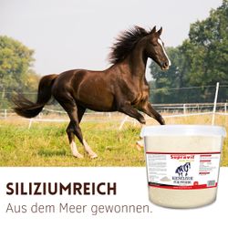 kieselgur-02.jpg kieselgur-02.jpg