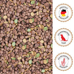 basis-mix-05.png basis-mix-05.png