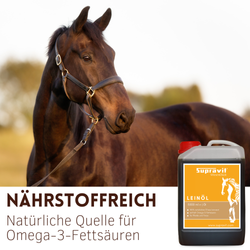 01-leinoel-5l.png 01-leinoel-5l.png