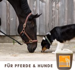 71-6mbzD9ZL.jpg 71-6mbzD9ZL.jpg