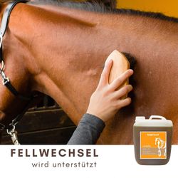 71-Rp2lBiuL.jpg 71-Rp2lBiuL.jpg