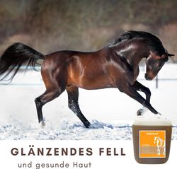 71dD0njDabL.jpg 71dD0njDabL.jpg