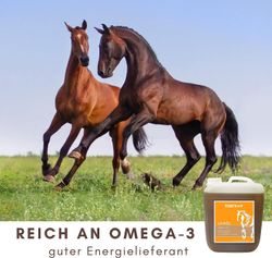 71pbf7tJoFL.jpg 71pbf7tJoFL.jpg