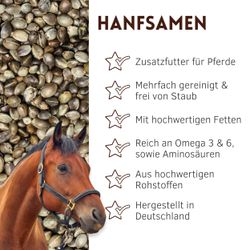 01-uebersicht.jpg 01-uebersicht.jpg