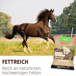 02-hanf.jpg 02-hanf.jpg