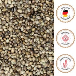 07-abschluss.jpg 07-abschluss.jpg