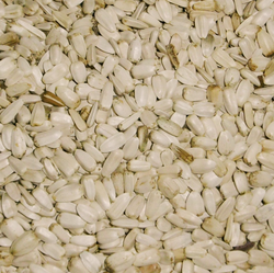 sonnenblumenkerne-weiss-quadr.png sonnenblumenkerne-weiss-quadr.png