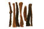 pansen-getrockent-2-2.jpg