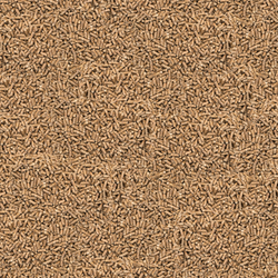 putenstarter-stock-quadr.png putenstarter-stock-quadr.png