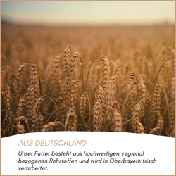 03-herkunft-superdiaet.png 03-herkunft-superdiaet.png