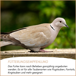 04-emotionales-bild-mit-qualitaet-superdiaet.png 04-emotionales-bild-mit-qualitaet-superdiaet.png