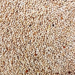 Supravit Silberhirse