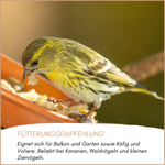 04-emotionales-bild-mit-qualitaet.png