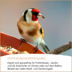 04-emotionales-bild-mit-qualitaet.png