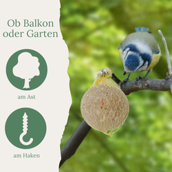 ins-05.png ins-05.png