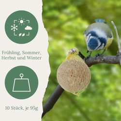 ins-06.png ins-06.png