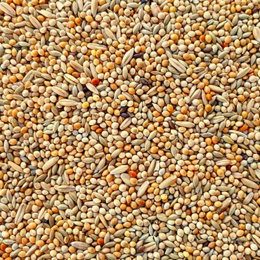 Supravit Wellensittichfutter BASIS 5kg