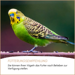04-emotionales-bild-mit-qualitaet.png