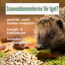 05-neu.png 05-neu.png