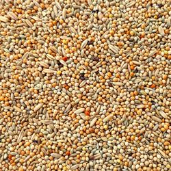 Supravit Wellensittichfutter BASIS 2,5kg