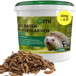 Orni Soldatenfliegenlarven getrocknet
