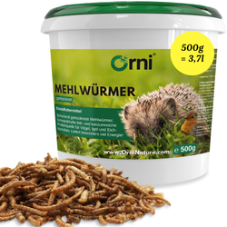 Orni Mehlwürmer