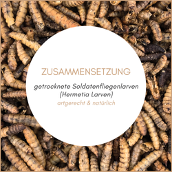 02-zusammensetzung.png 02-zusammensetzung.png