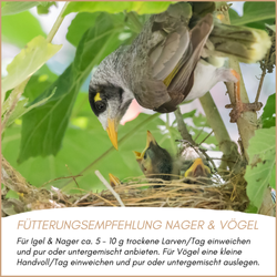 04-fuetterung-1.png 04-fuetterung-1.png