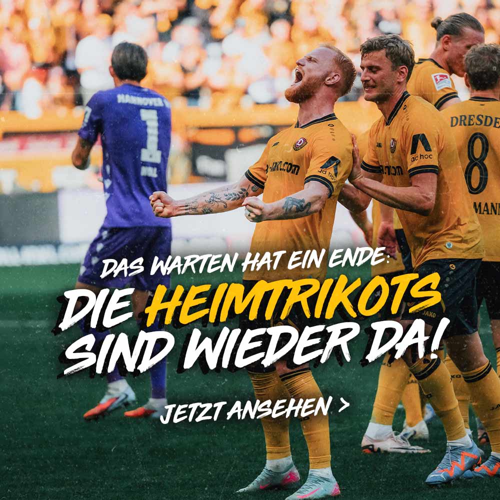 HEIMTRIKOT HEIMTRIKOT