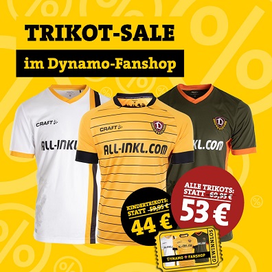 SG Dynamo Dresden Auto-Minitrikot 2019//20 Heim