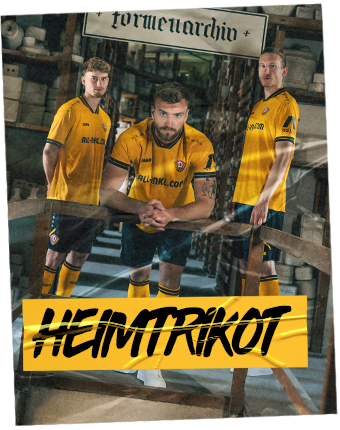 HEIMTRIKOT