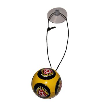 SG Dynamo Dresden Auto-Minitrikot 2019//20 Heim