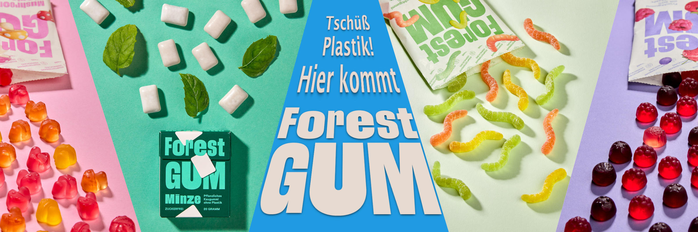 Neue Marke: Forest Gum Man sieht buntes Fruchtgummi der Marke Forest Gum sowie deren plastikfreies Kaugummi in verschiedenen Sorten.