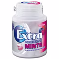 Wrigleys Extra Professional Mints Waldfrucht 80g Dose Bild 1