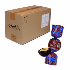 Lindt Kugel Noccionoir 4kg, Schokolade, Praline, 330 Stück Bild 1