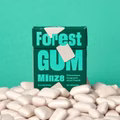 Forest Gum Minze, plastikfreies Kaugummi, 18 Packungen je 20g Bild 4