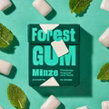 Forest Gum Minze, plastikfreies Kaugummi, 18 Packungen je 20g Bild 5