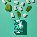 Forest Gum Minze, plastikfreies Kaugummi, 18 Packungen je 20g Bild 6